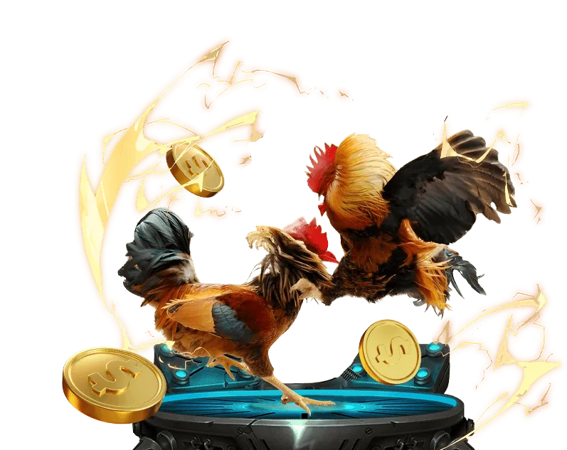 Chọi gà trực tuyến trên nền tảng đa ga thôm